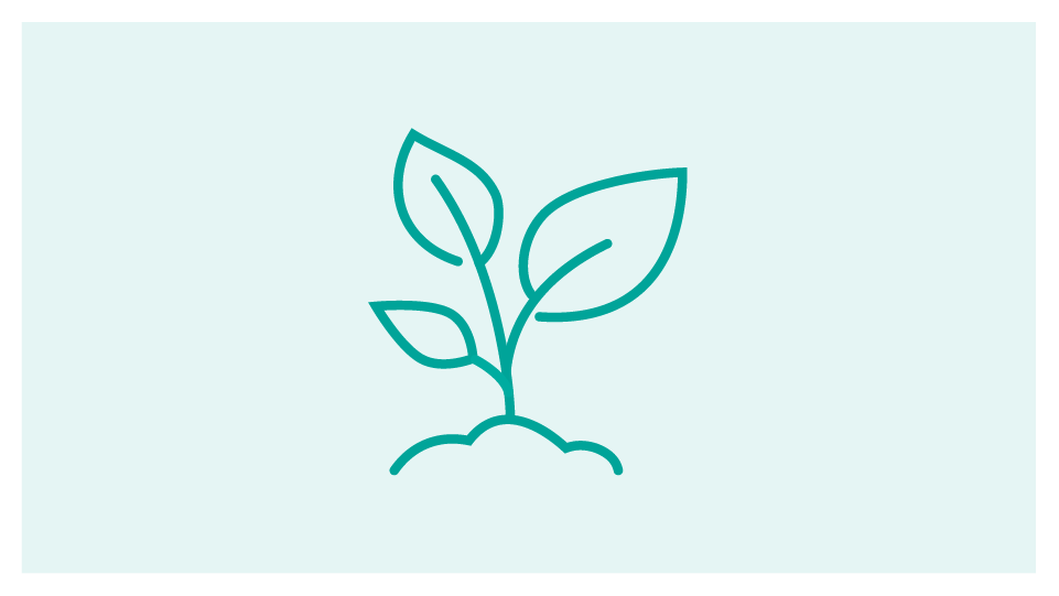 Green icon of a baby plant shoot