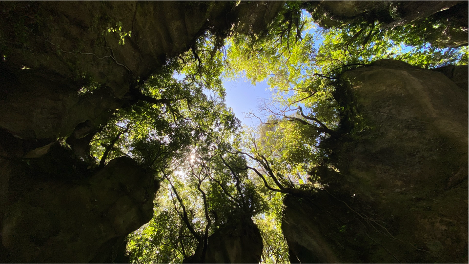 Patuna Chasm looking up