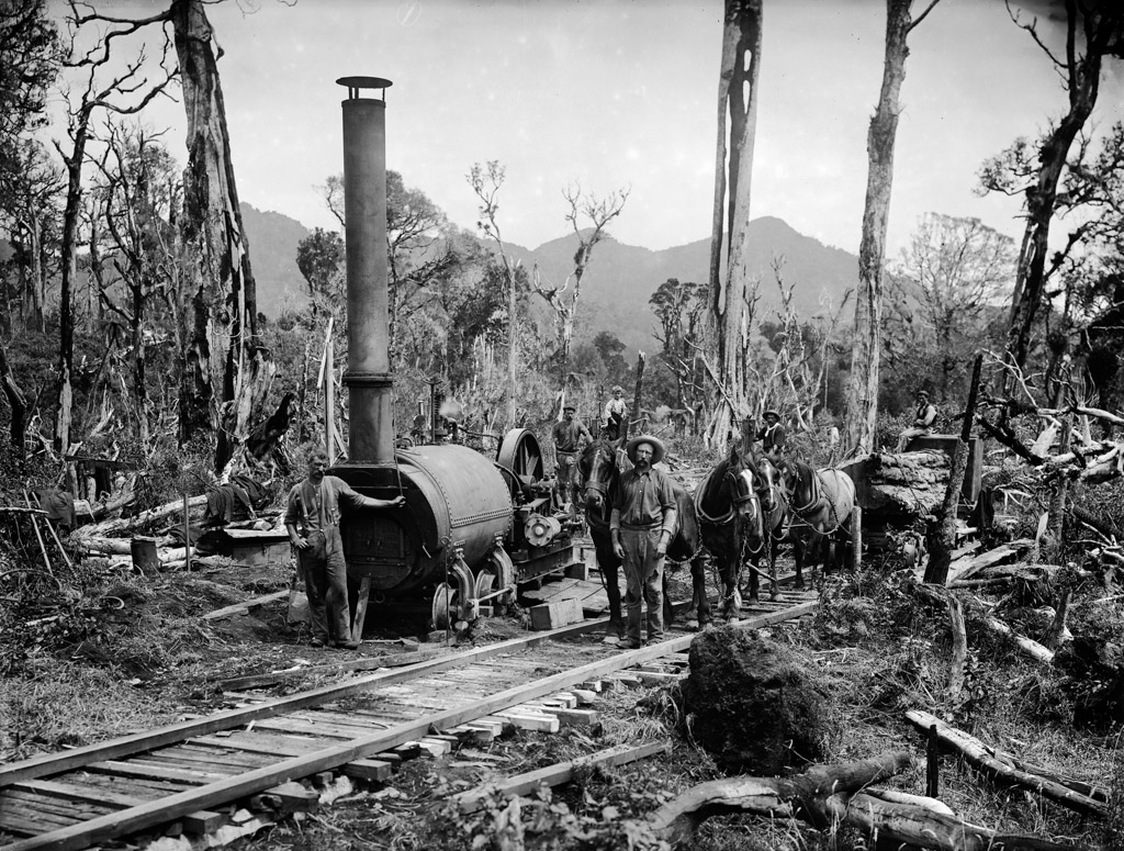 Timber workers in the Kaitaki ranges