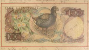 $100 banknote design drawing