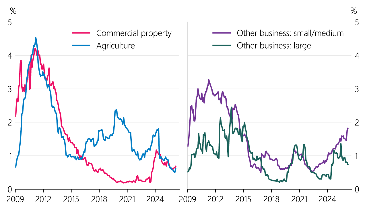 Figure 2.3 Business non-performing loan ratios