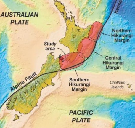Image showing the area used for the seismic stress test scenario, the central and adjacent sections of the Hikurangi Subduction Zone.